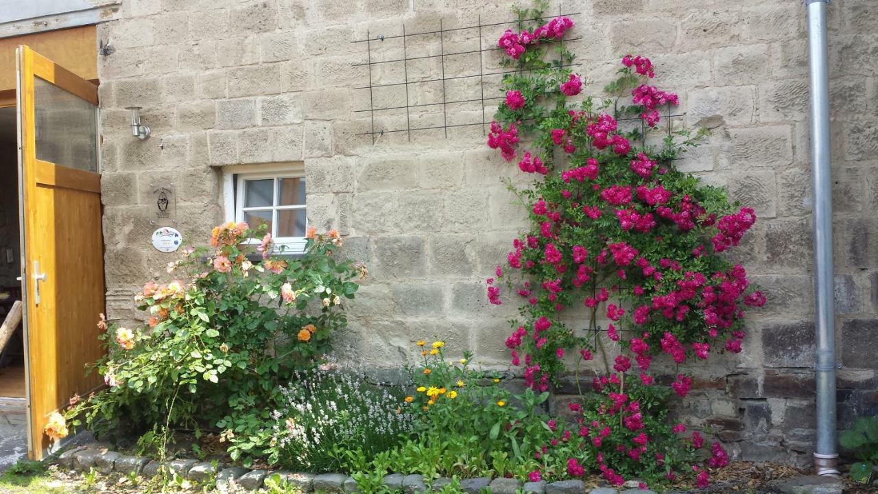 Marcos Heuboden Bed & Breakfast Oberzissen Exterior photo